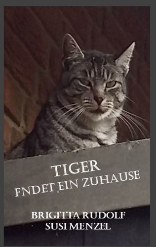 tiger findet ein Zuhause - Buchcover